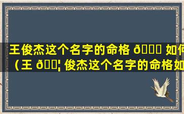 王俊杰这个名字的命格 🐝 如何（王 🐦 俊杰这个名字的命格如何呢）